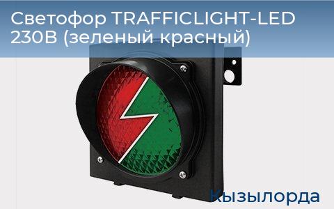 Светофор TRAFFICLIGHT-LED 230В (зеленый+красный), kyzylorda.doorhan.ru