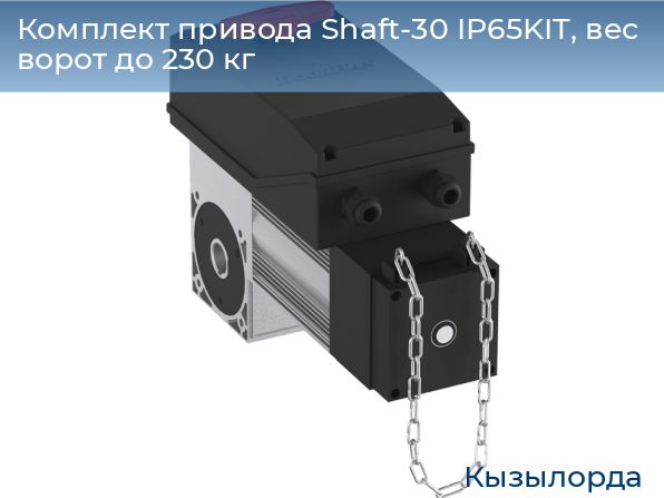 Комплект привода Shaft-30 IP65KIT, вес ворот до 230 кг, kyzylorda.doorhan.ru