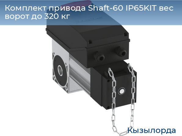 Комплект привода Shaft-60 IP65KIT вес ворот до 320 кг, kyzylorda.doorhan.ru