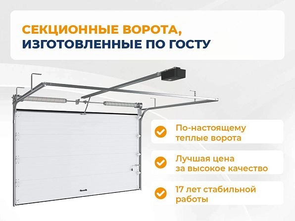 Cекционные ворота 3300х2600 мм коричнево-красные DoorHan RSD02, kyzylorda.doorhan.ru